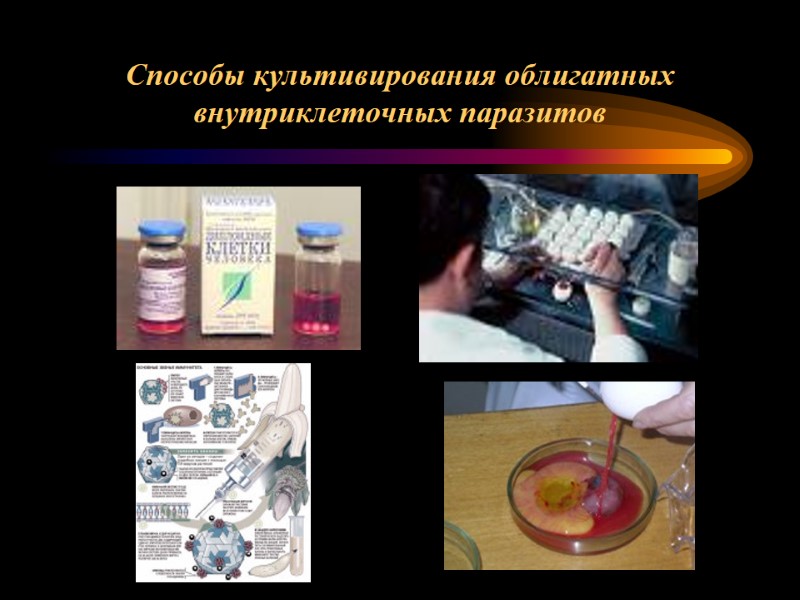 Способы культивирования облигатных внутриклеточных паразитов